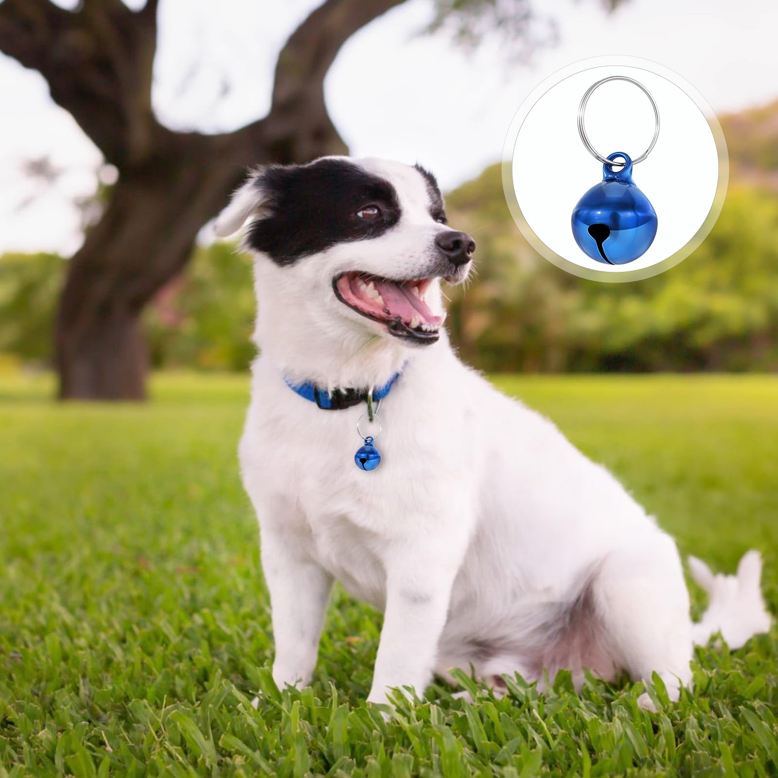 Lot de 25 clochettes colorées pour animaux de compagnie avec son net, clochettes pour chat et collier doag avec porte-clés, clochettes d'entraînement anti-perte, pendentif pour collier de dressage