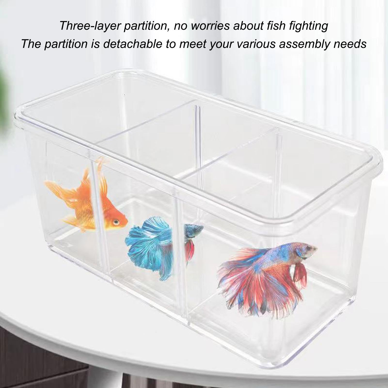 ベタマンション　ガラス水槽 5つの仕切り付き Amazon | ベタ水族館、ベタ水族館水槽 - 取り外し可能な仕切り付き水槽