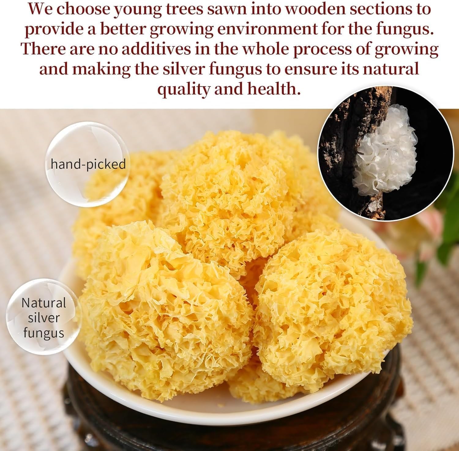 Tremella Fuciformis Hongo de Nieve Cultivado en Madera 250g Seco Natural