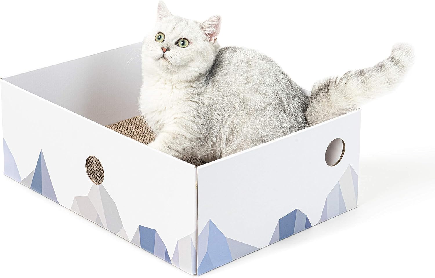 Conlun Cat Scratcher Box with Cat Scratching Board Portable Cardboard
