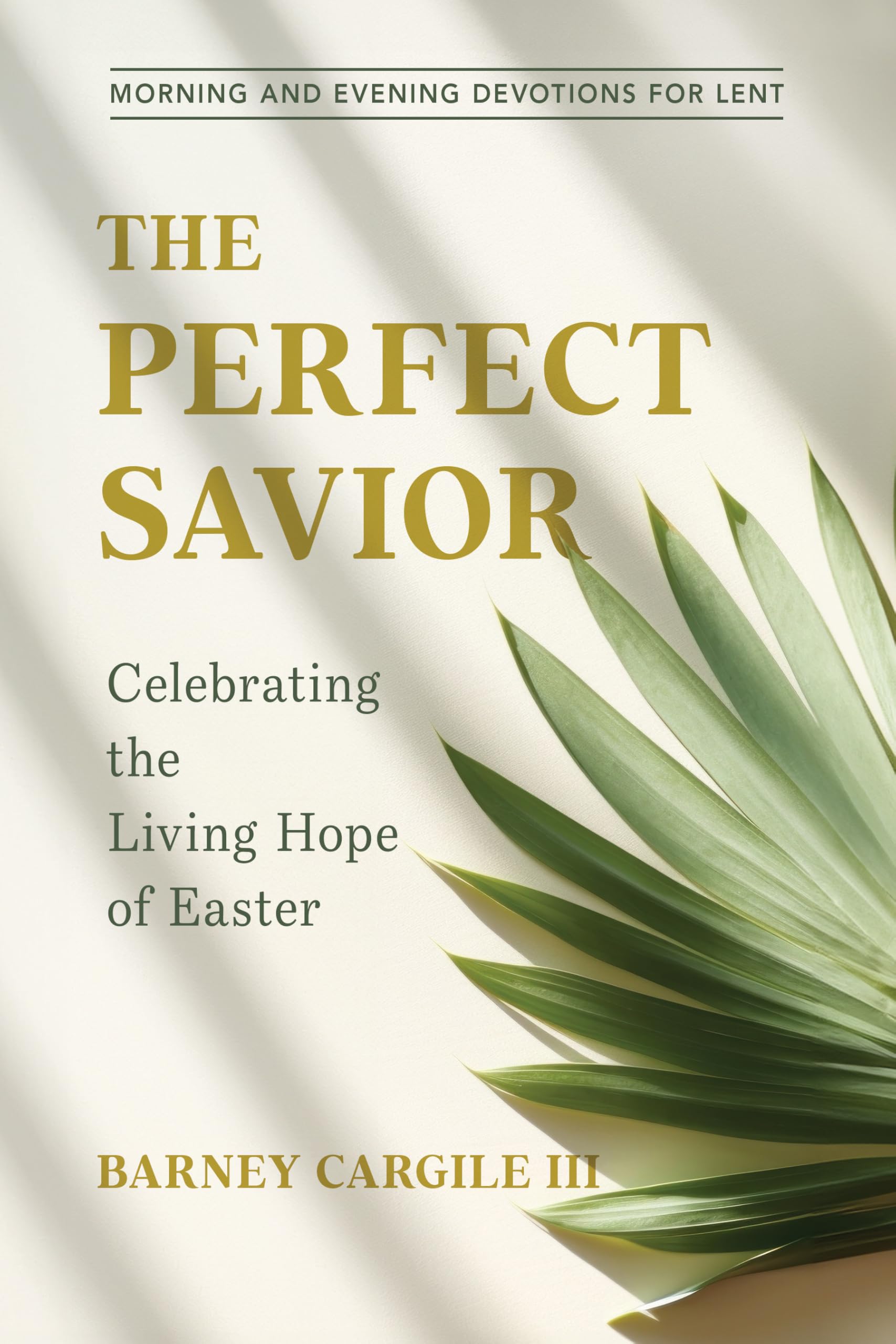 The Perfect Savior by Barney Cargile III - 9781640703704
