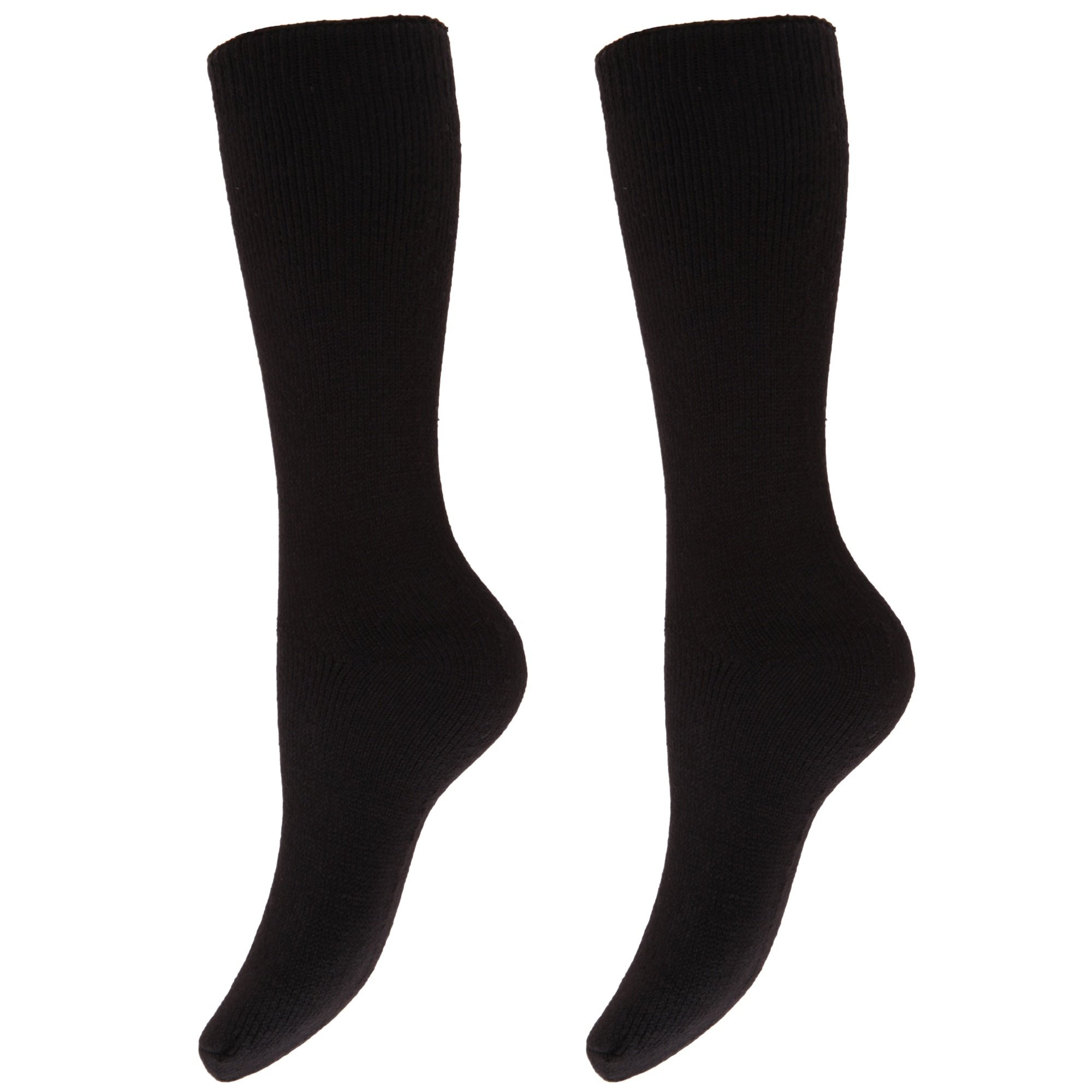 Floso Womens/Ladies Thermal Winter Wellington/Welly Boot Socks (2 Pairs) (UK Shoe 4-7, EUR 37-41) (Black)