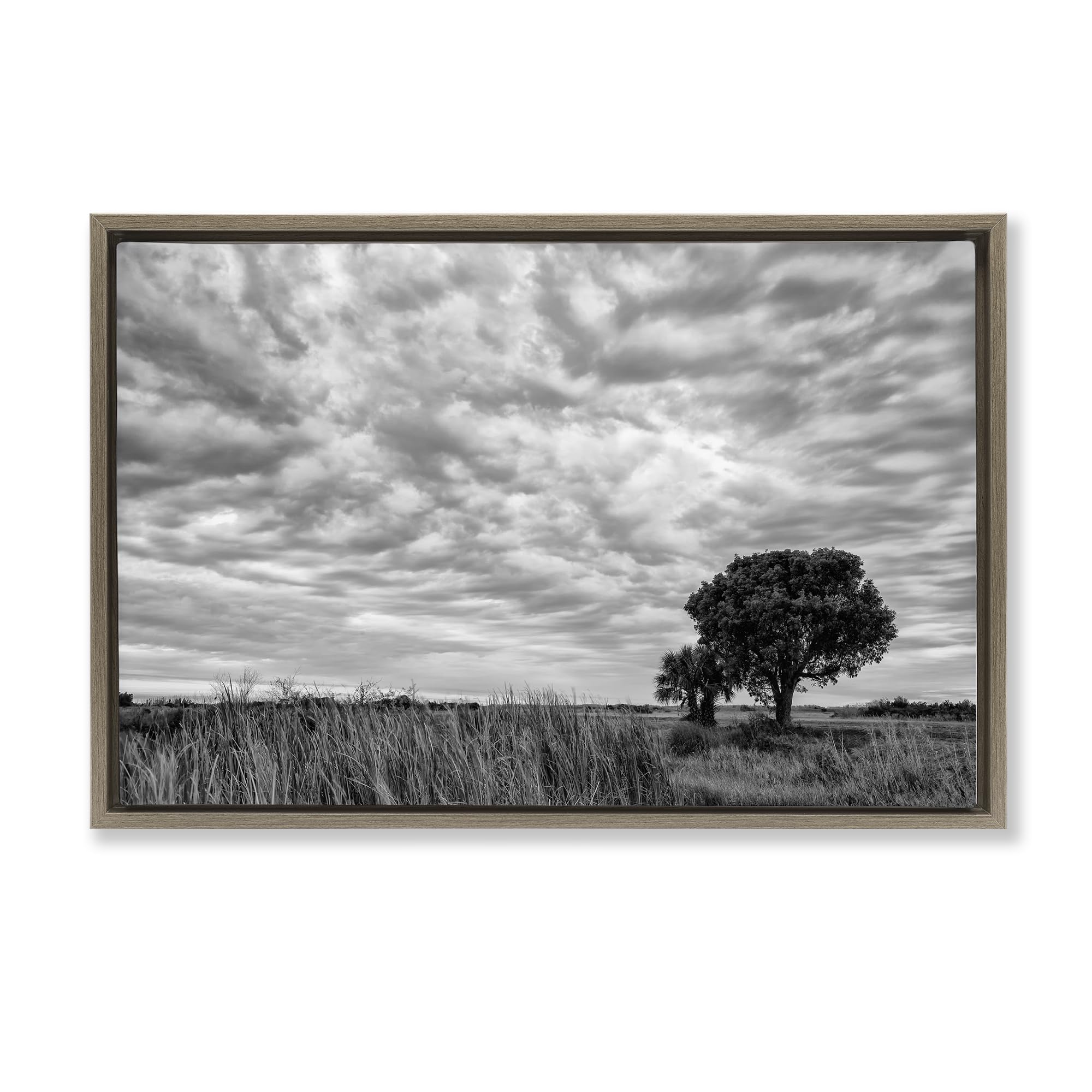 'Solitary Tree Beneath Clouds'| Floating Frame Canvas Art