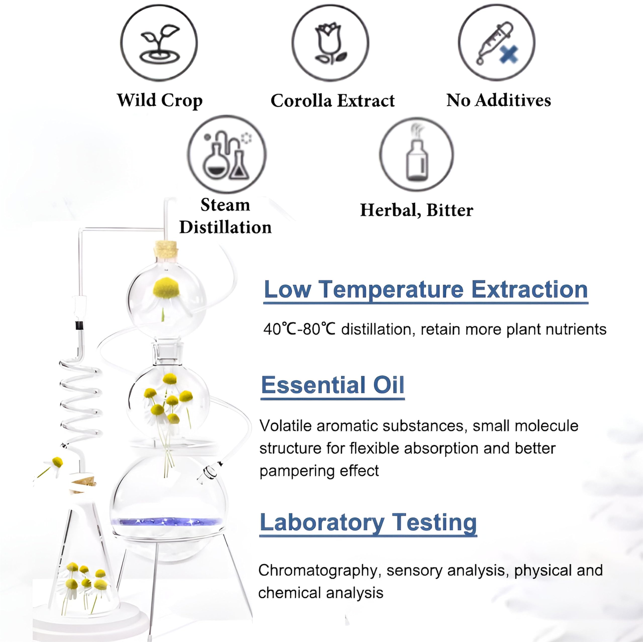 100% reines ätherisches Kamillenöl für Aromatherapie, Diffusoren, Haut- und Haarpflege, Kerzen- und Seifenherstellung, hochwertiges Bio-Kamillenöl, natürliches Duftöl zur Entspannung(500ml)