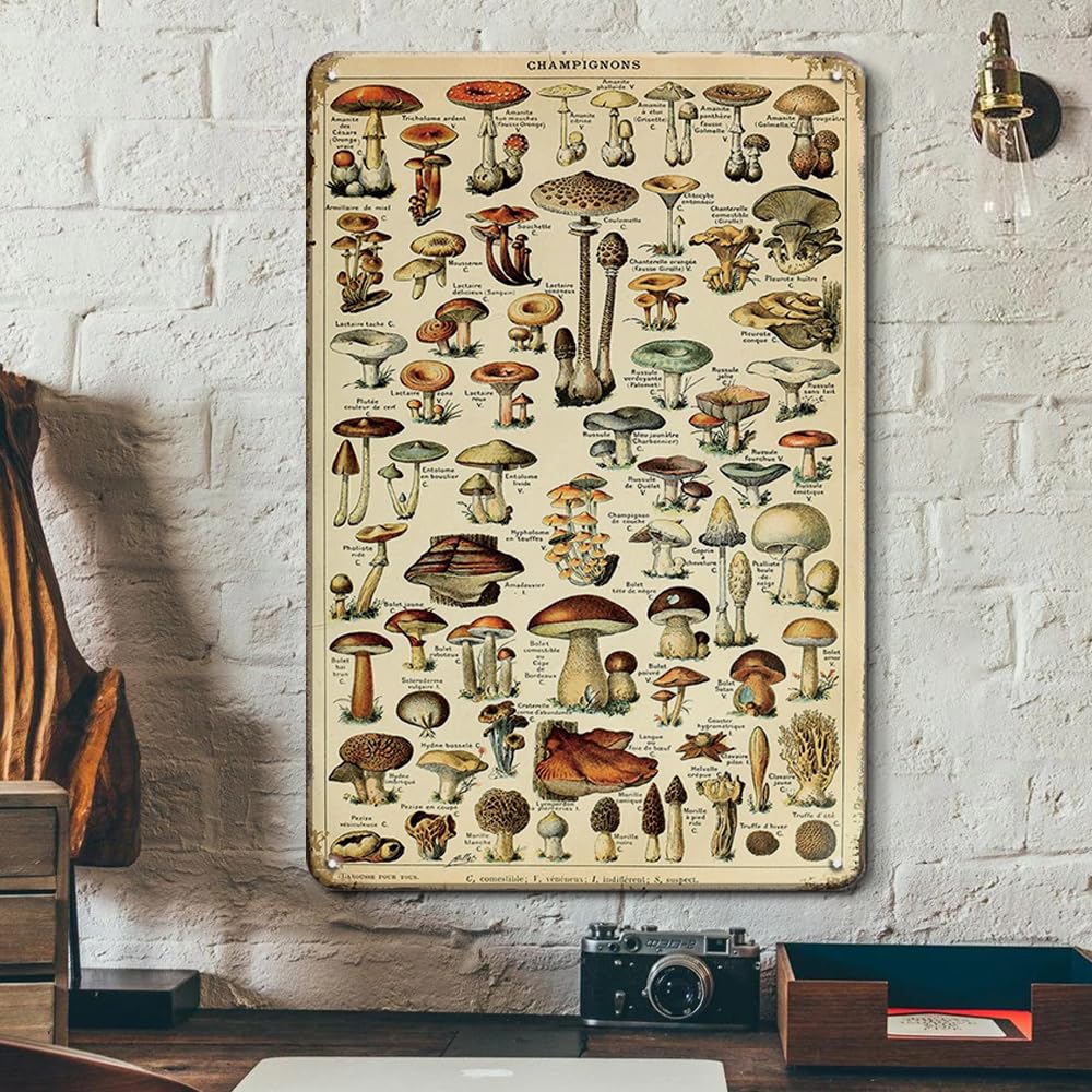 Kziwq T225 Vintage Mushroom Poster Fungus Wall Art Retro Tin Sign - Mushroom Species Identification Reference Mushroom Accessories - Mushroom Decor Metal Poster Mushroom Wall Decor 20X30cm