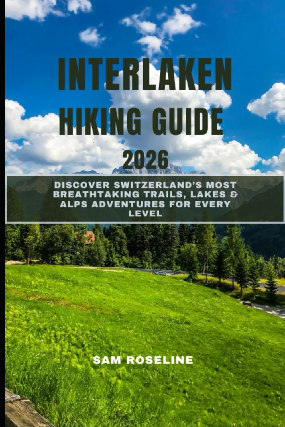 INTERLAKEN HIKING GUIDE 2026: DISCOVER SWITZERLAND’S MOST BREATHTAKING TRAILS, LAKES & ALPS ADVENTURES FOR EVERY LEVEL: 31 (SUMMITS & TRAILS: GLOBAL HIKING GUIDES)