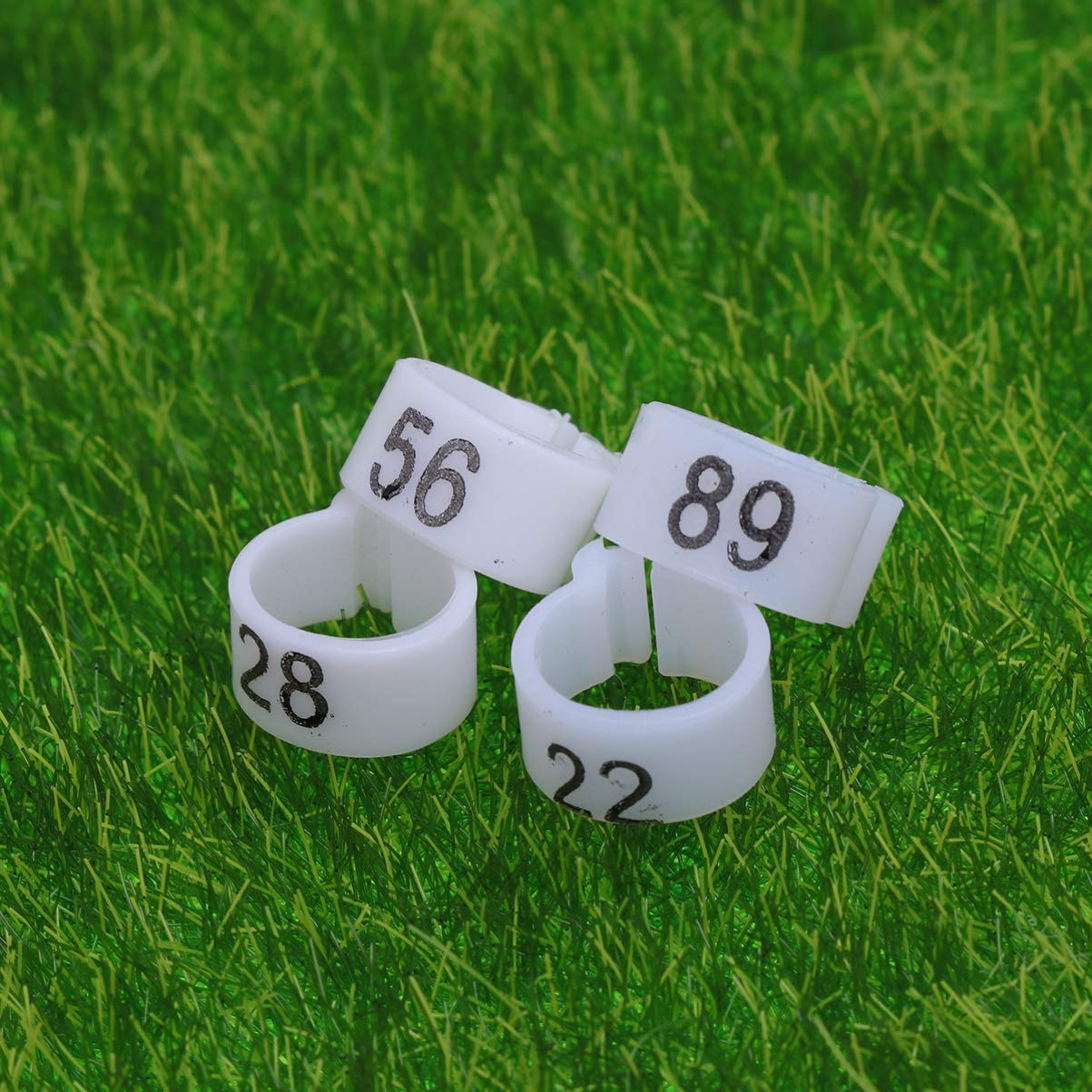300 Anelli a Clip for Zampe di Uccelli for piccioni, pappagalli e Pulcini - Anelli di identificazione Colorati(3 Packs)