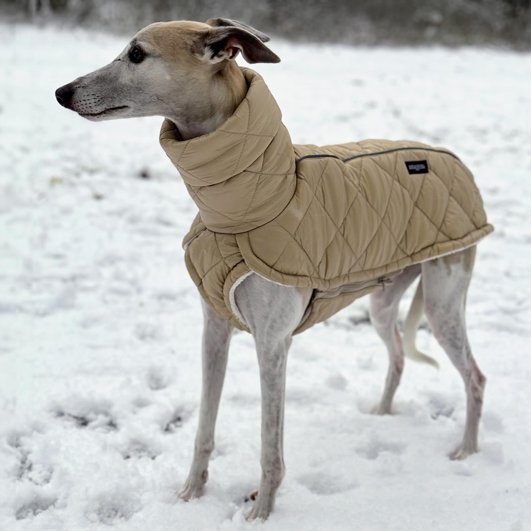 EDEL&SCHNELL Stepp-Wintermantel beige gefüttert mit Kunstpelz, Winterjacke Hund mit Reißverschluss, Hundemantel für große Hunde Rückenlänge 60-65 cm