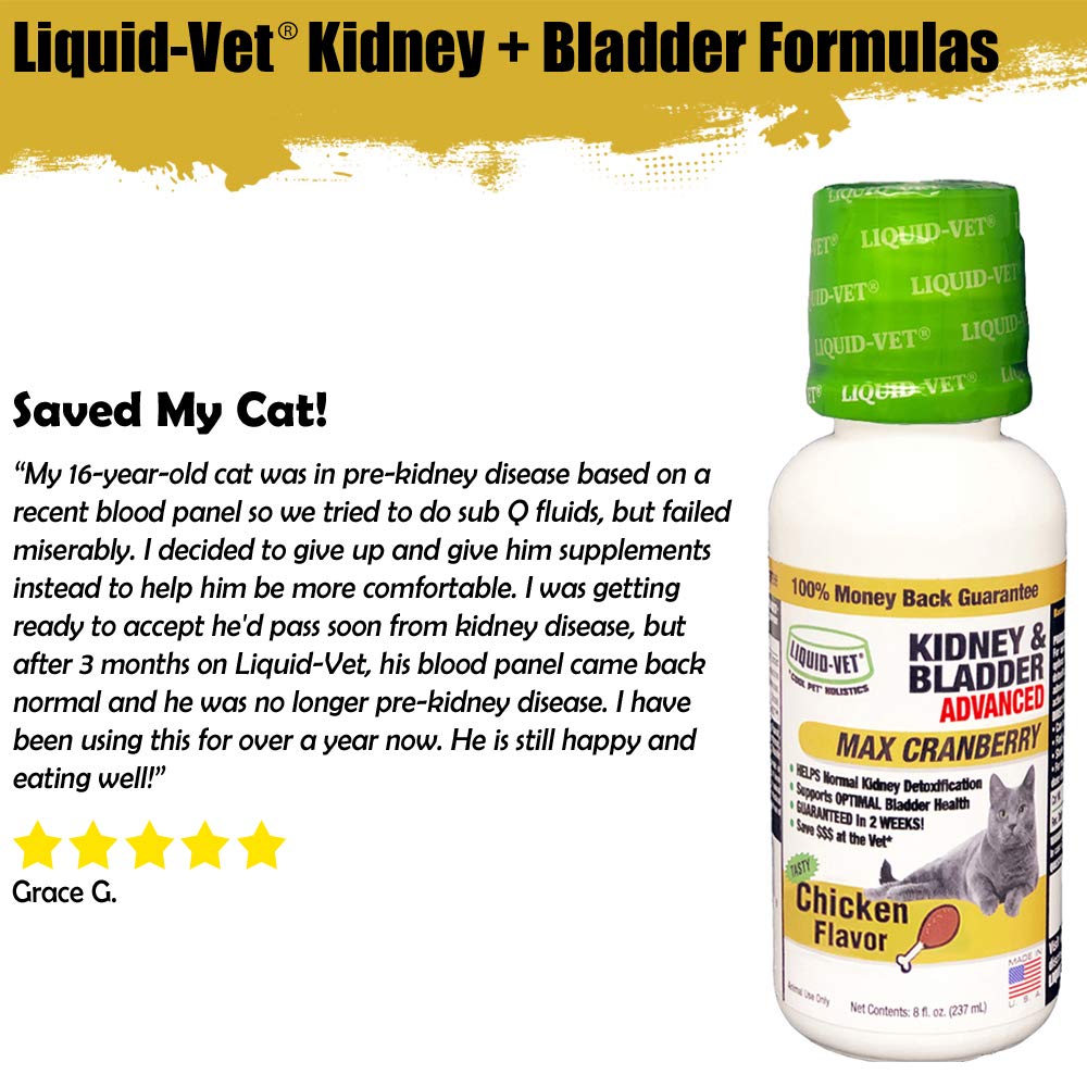 Buy LiquidVet Advanced Kidney & Bladder Supplements for Cats with