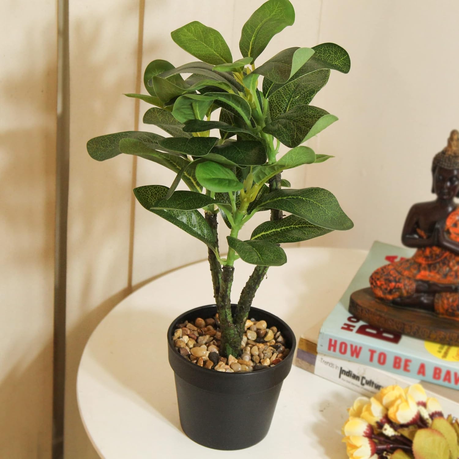 See full amazon price history chart for TIED RIBBONS Artificial Quercus Plant with Pot Stand (1 Feet) Natural Looking Artificial Plants for Home Decor Living Room Bedroom Hall Kitchen Office Table Indoor Outdoor Decoration Items TIED RIBBONS Artificial Quercus Plant with Pot Stand (1 Feet) Natural Looking Artificial Plants for Home Decor Living Room Bedroom Hall Kitchen Office Table Indoor Outdoor Decoration Items (B0C33C9V6P) Amazon Price History, Amazon Price Tracker