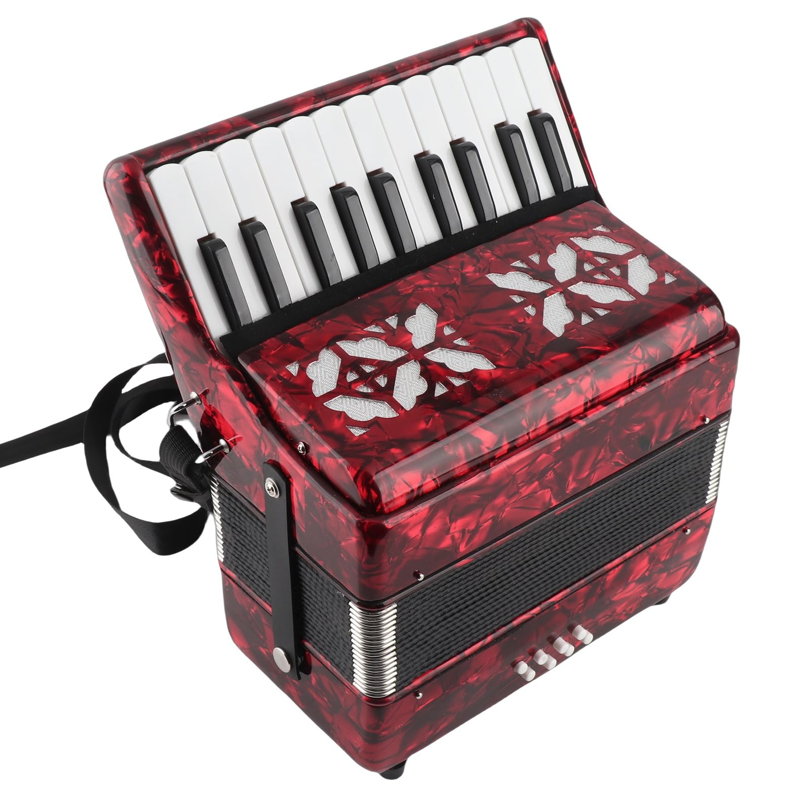 Amazon.co.jp: 子供用ピアノアコーディオン 8ベース22キー演奏楽器