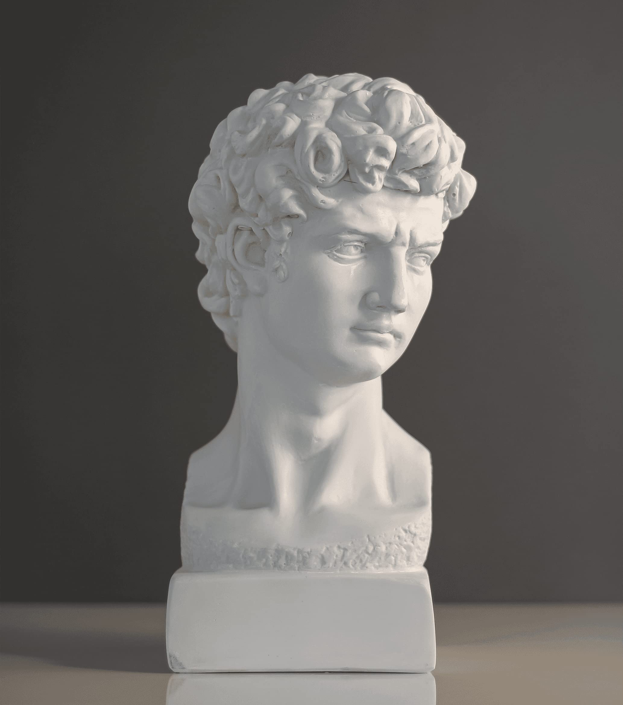 洋書 THE ART OF DAVID EM Amazon.com: David Sculpture Statue,13 Inches 33cm David Bust