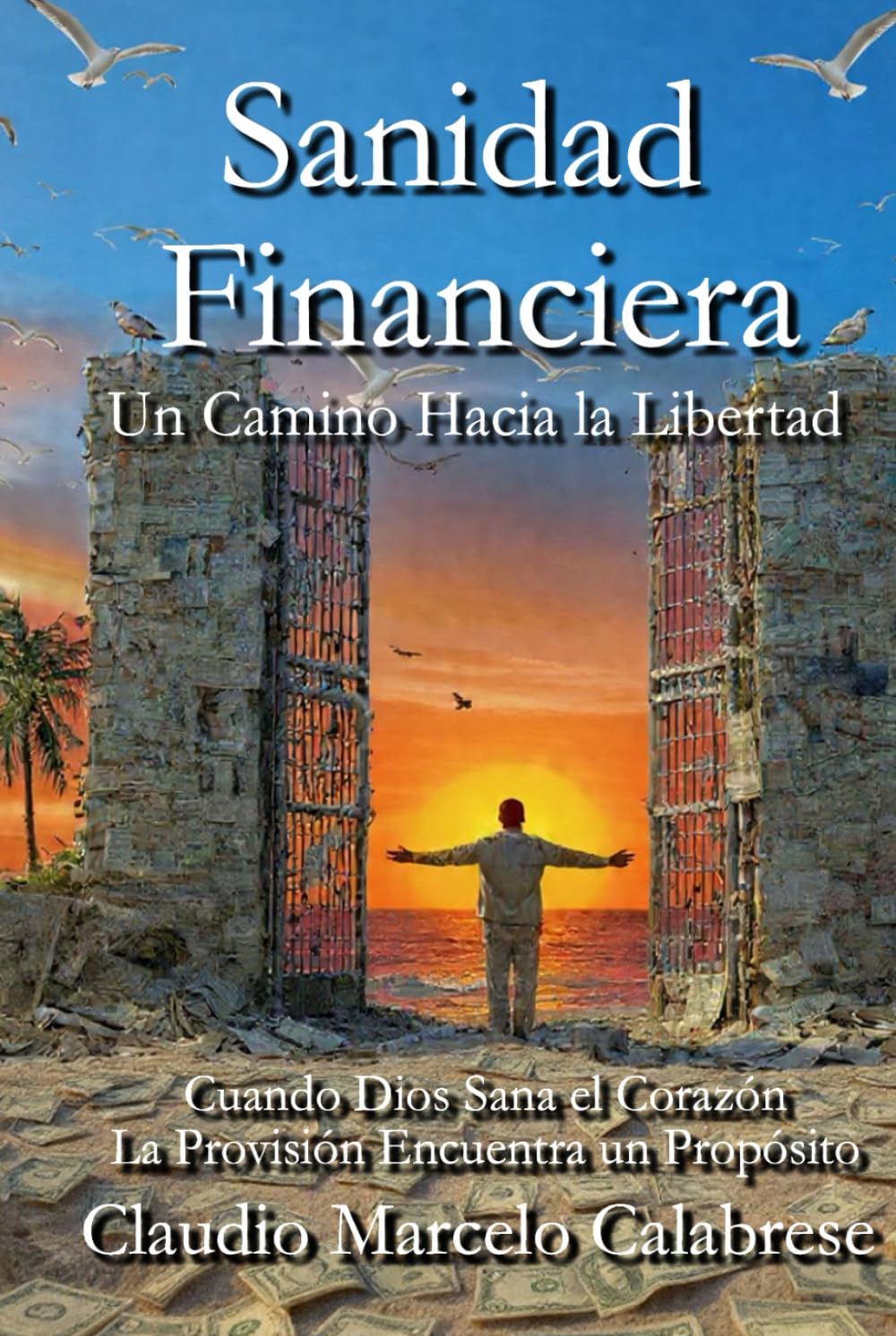 Sanidad Financiera: Un Camino hacia la Libertad (Sanidad con Propósito)