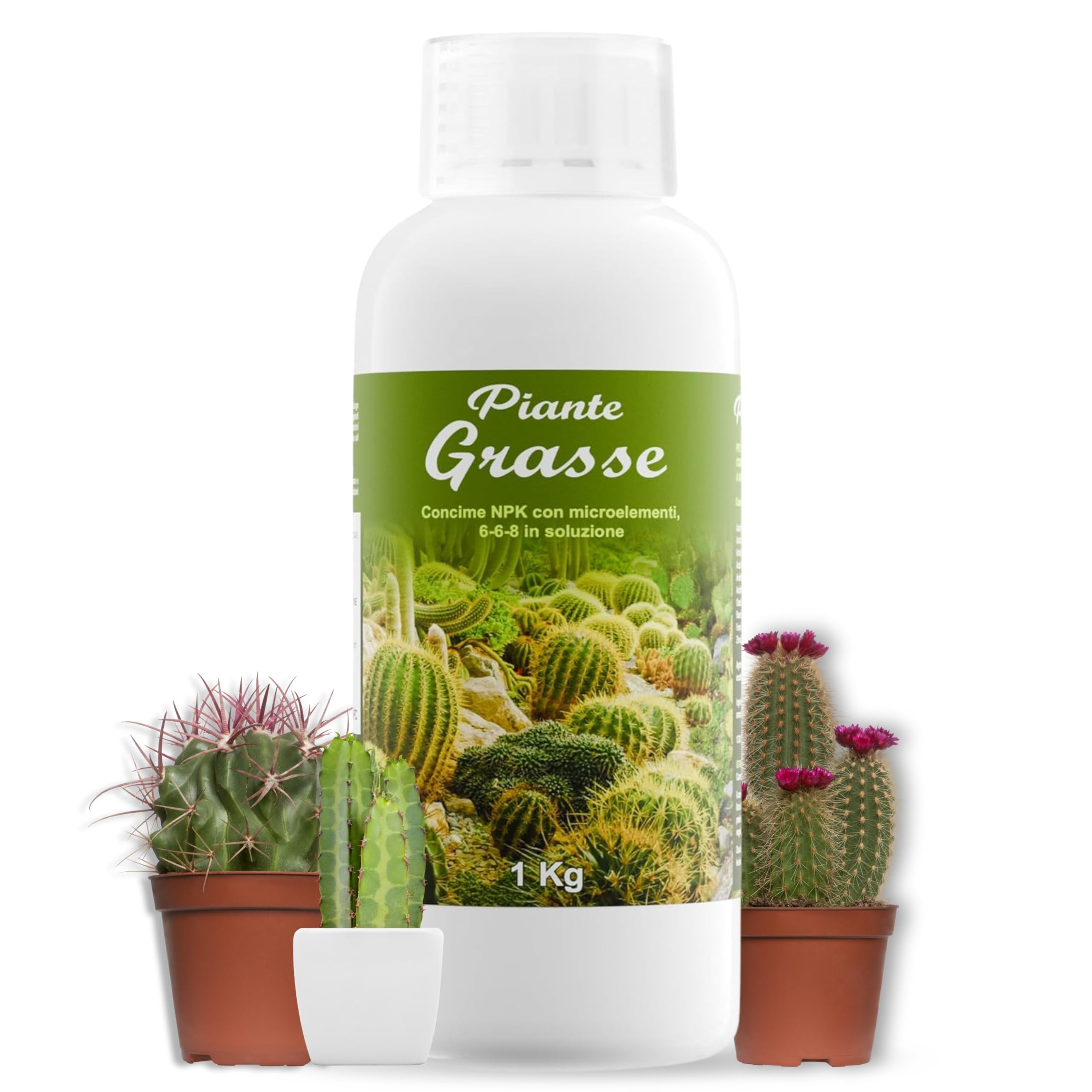 Easy Gocce Piante Grasse. Concime in Fiale per tutti i tipi di Piante Grasse. 6 fiale di