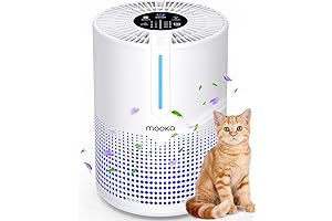 MOOKA USB Air Purifier for Smokers, Pollen, Pets, Dust, Odors
