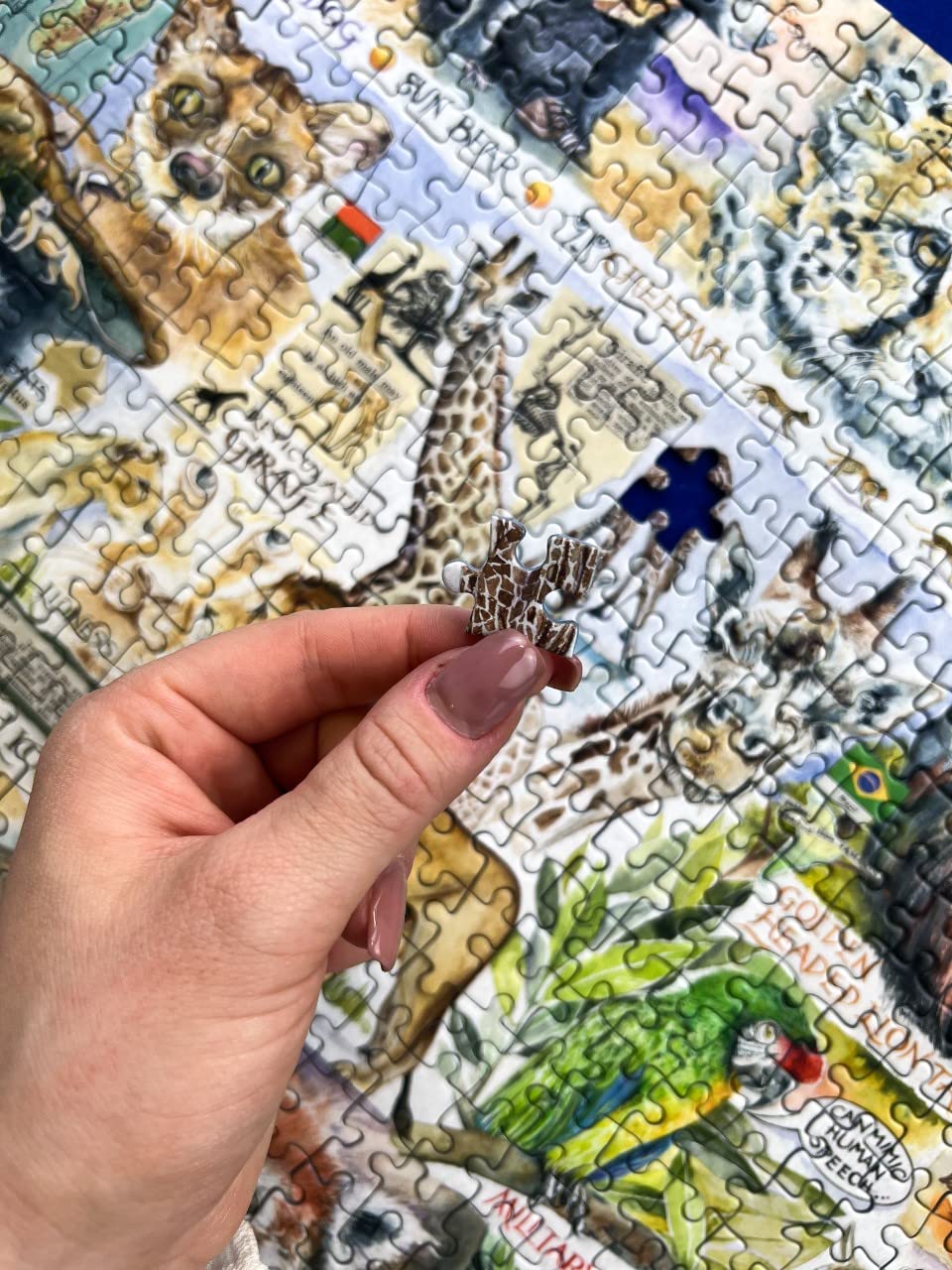 Gibsons Games - Puzzle da 1000 pezzi con luci luminose e grandi città, Val Goldfinch, monumenti europei, puzzle sostenibile per adulti, cartone riciclato al 100% di alta qualità, ottimo regalo per