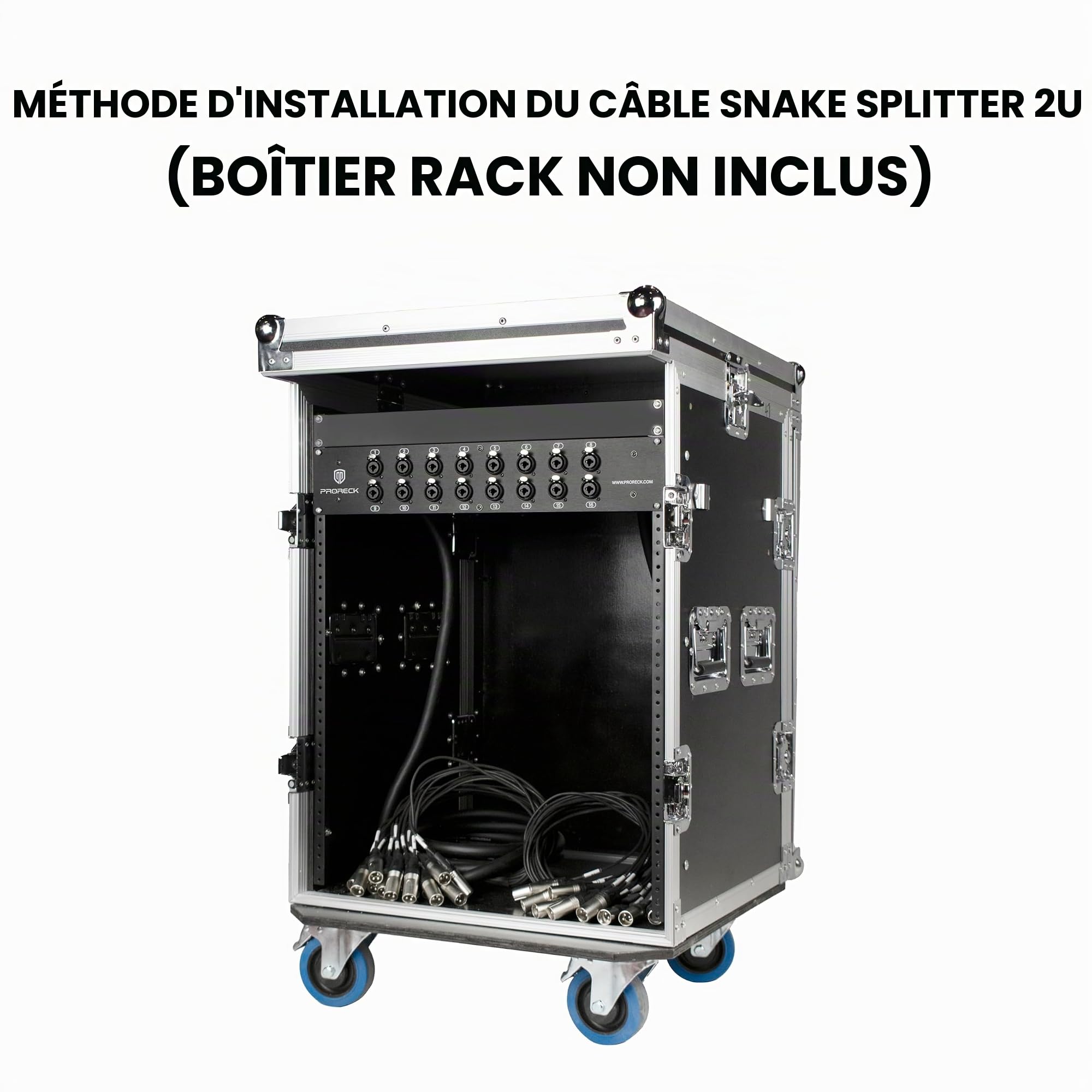 PRORECK Câble répartiteur XLR TRS XLR à montage en rack, convient pour live, enregistrement, scène, studio (1,5 m x 4,6 m - 16 canaux) PR-16-0515