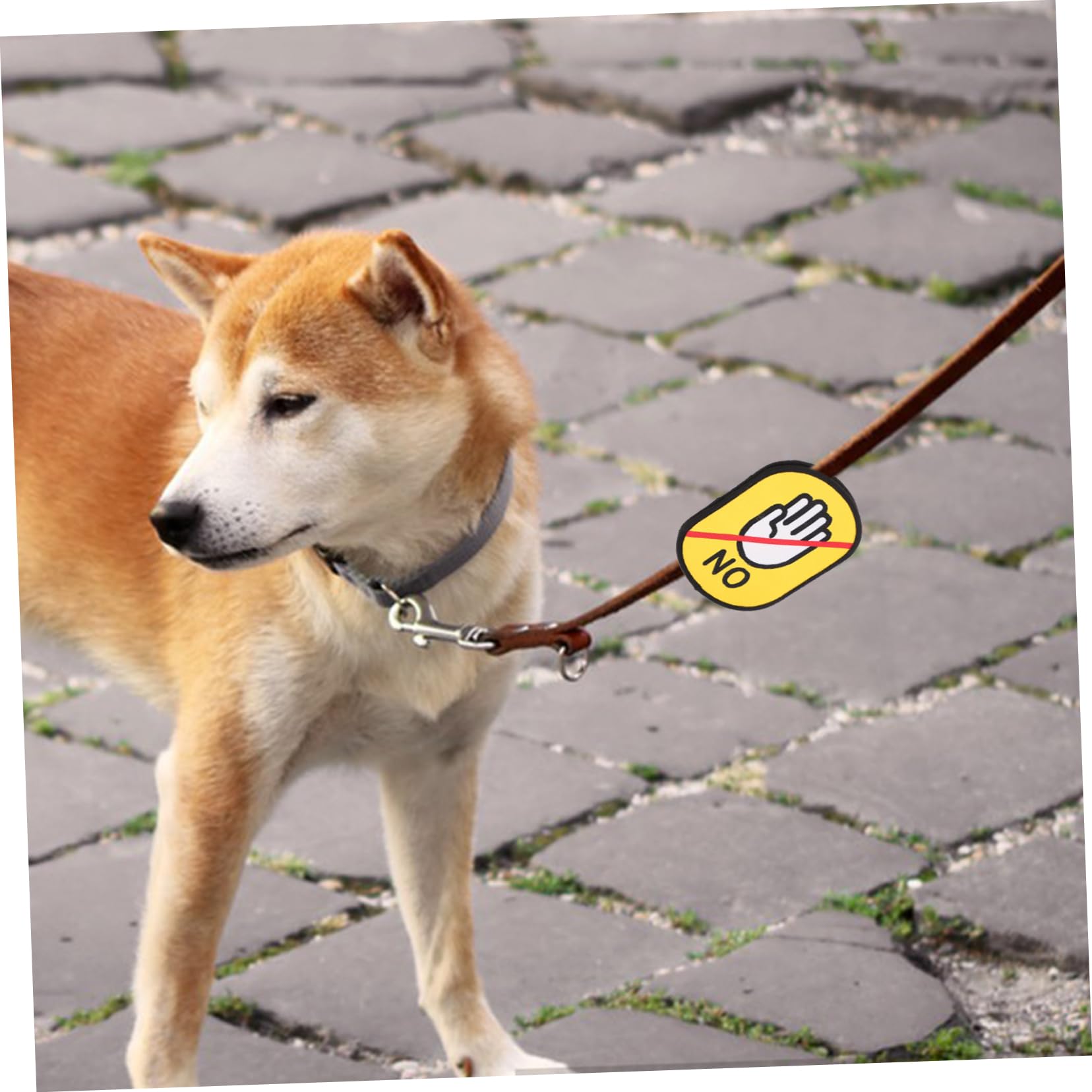 PartyKindom 10pezzi Etichetta Di Identificazione Sociale Per Animali Domestici Adesivo Di Non Toccare Per Guinzaglio Facile Da Applicare e Rimuovere Sicurezza Per Cani e Cuccioli Durante Le