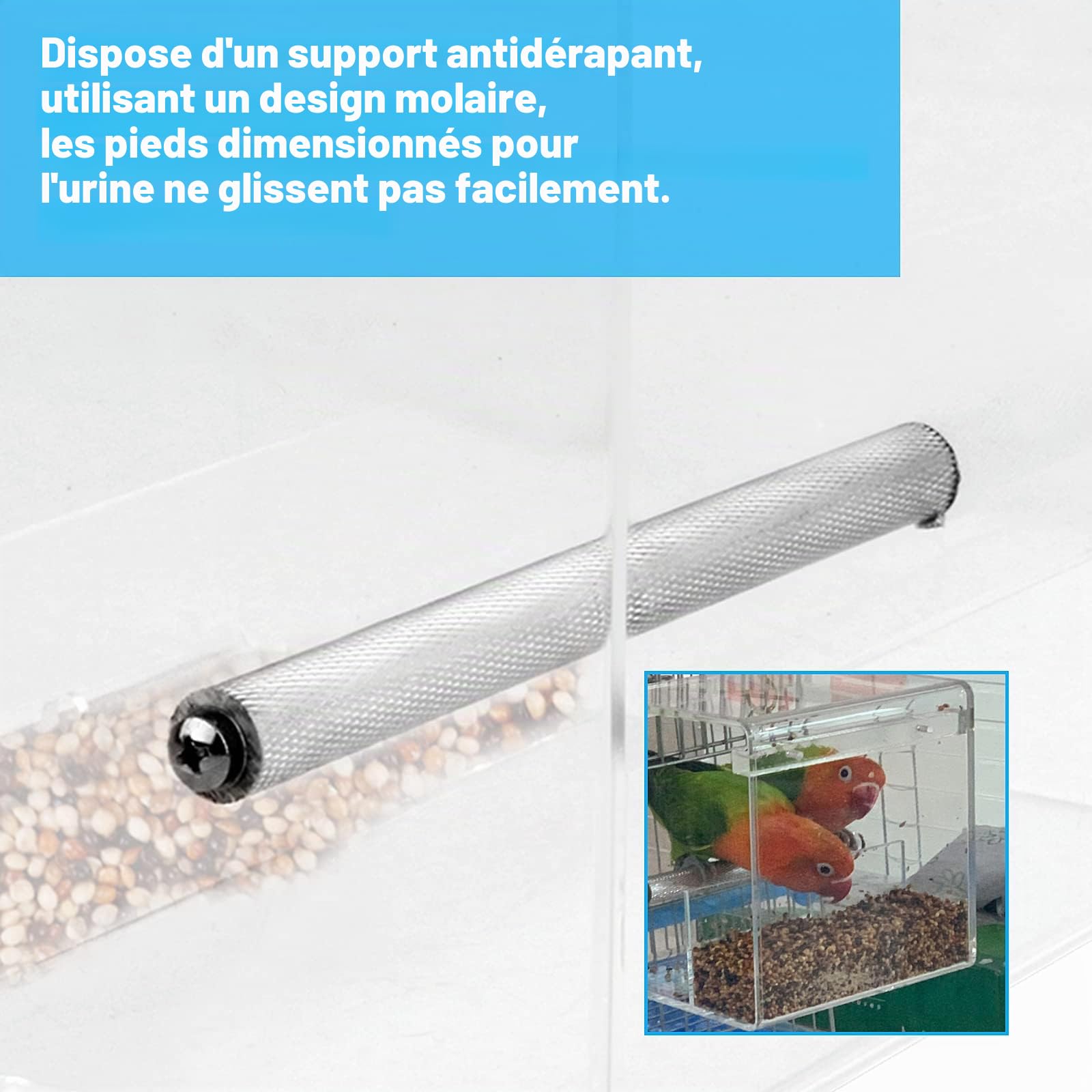 Mangeoire à Oiseaux sans désordre, récipient Automatique à graines pour Cage, Acrylique, Convient pour Les Oiseaux de Petite et Moyenne Taille