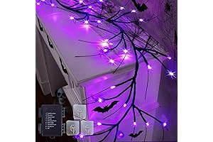 6FT 54LED Halloween Garland Lights