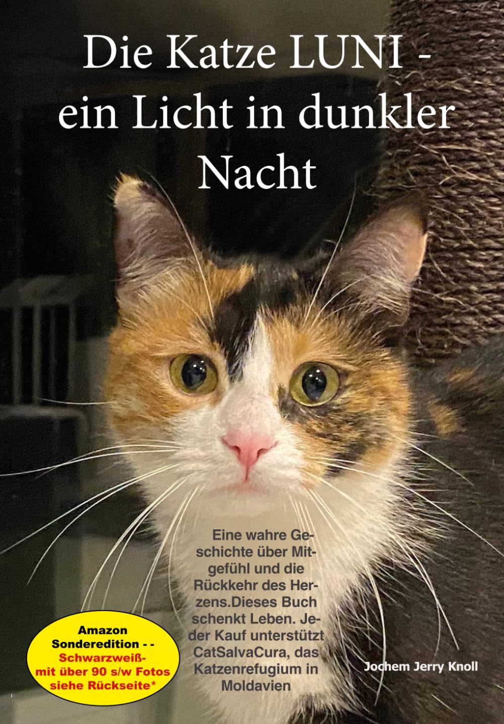 Die Katze Luni - Ein Licht in dunkler Nacht: Ein Buch über Mitgefühl und die Rückkehr des Herzens. Eine wahre Geschichte von Schicksal und Verbrechen ... in der nichts mehr heilig zu sein scheint.