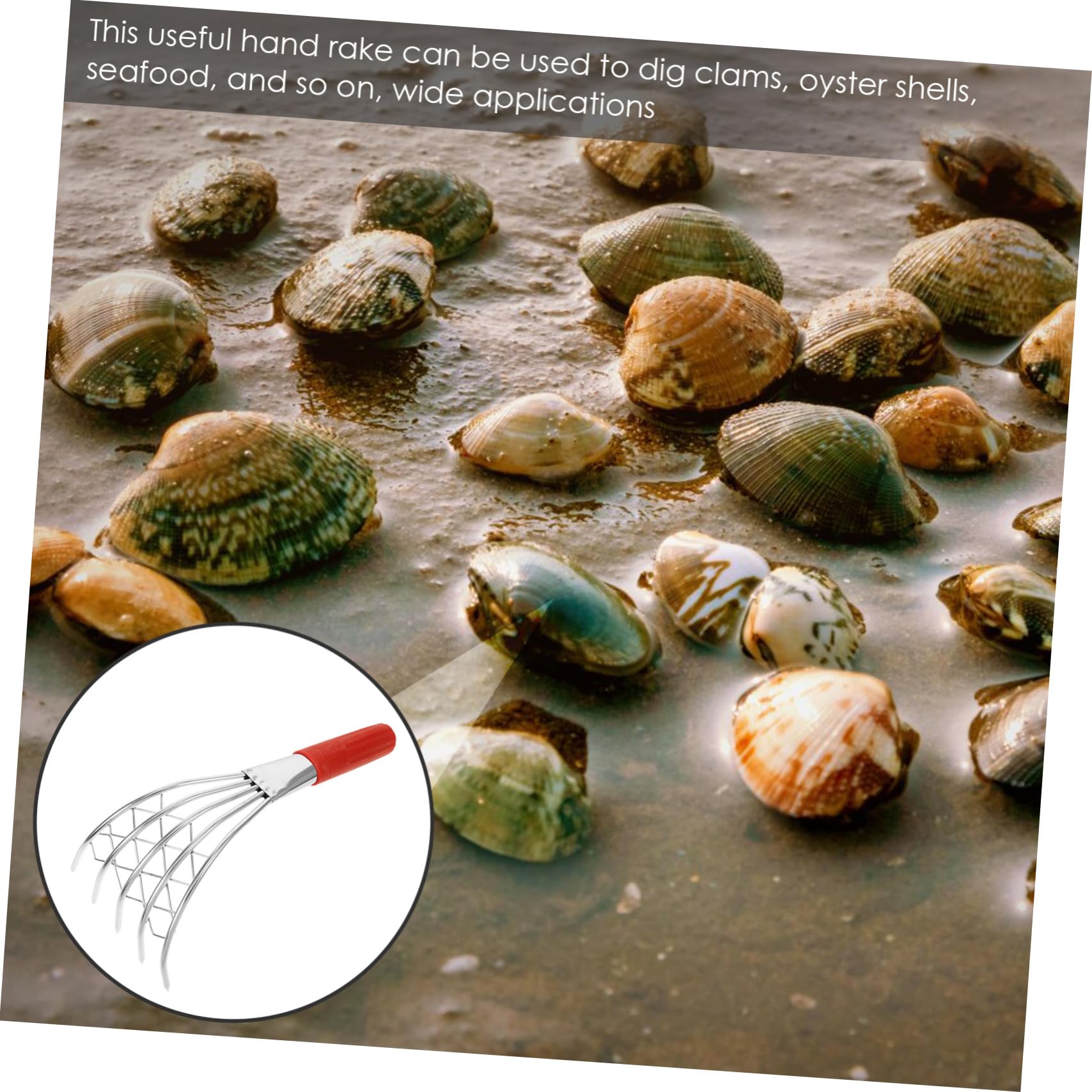 BESTonZON 2 Stück Strandrechen für Robuster Muschelrechen mit Ergonomischem Griff für Graben von Muscheln und Am Strand für Einsatz Gartenarbeit