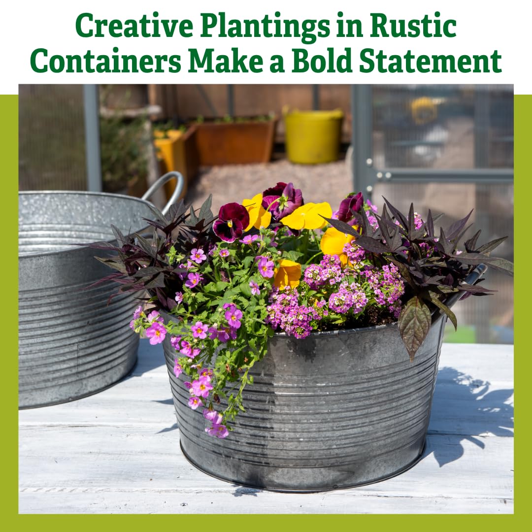 Amazon.co.jp: Gardener's Supply Company 亜鉛メッキプランター