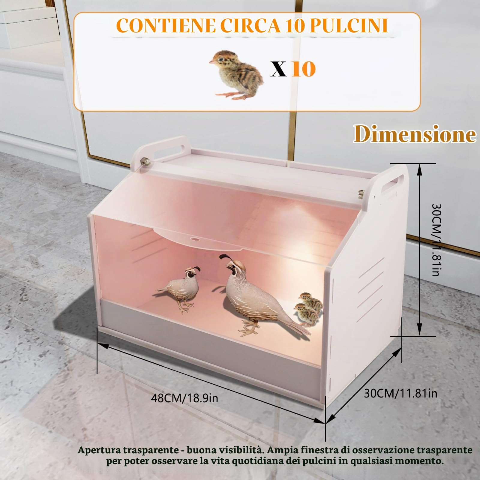 Incubatore per Pulcini con Termometro e Lampada, Scatola di Calore per Pulcini, Scatola di Allevamento per Pollame, Rettili e Piccoli Animali 220V
