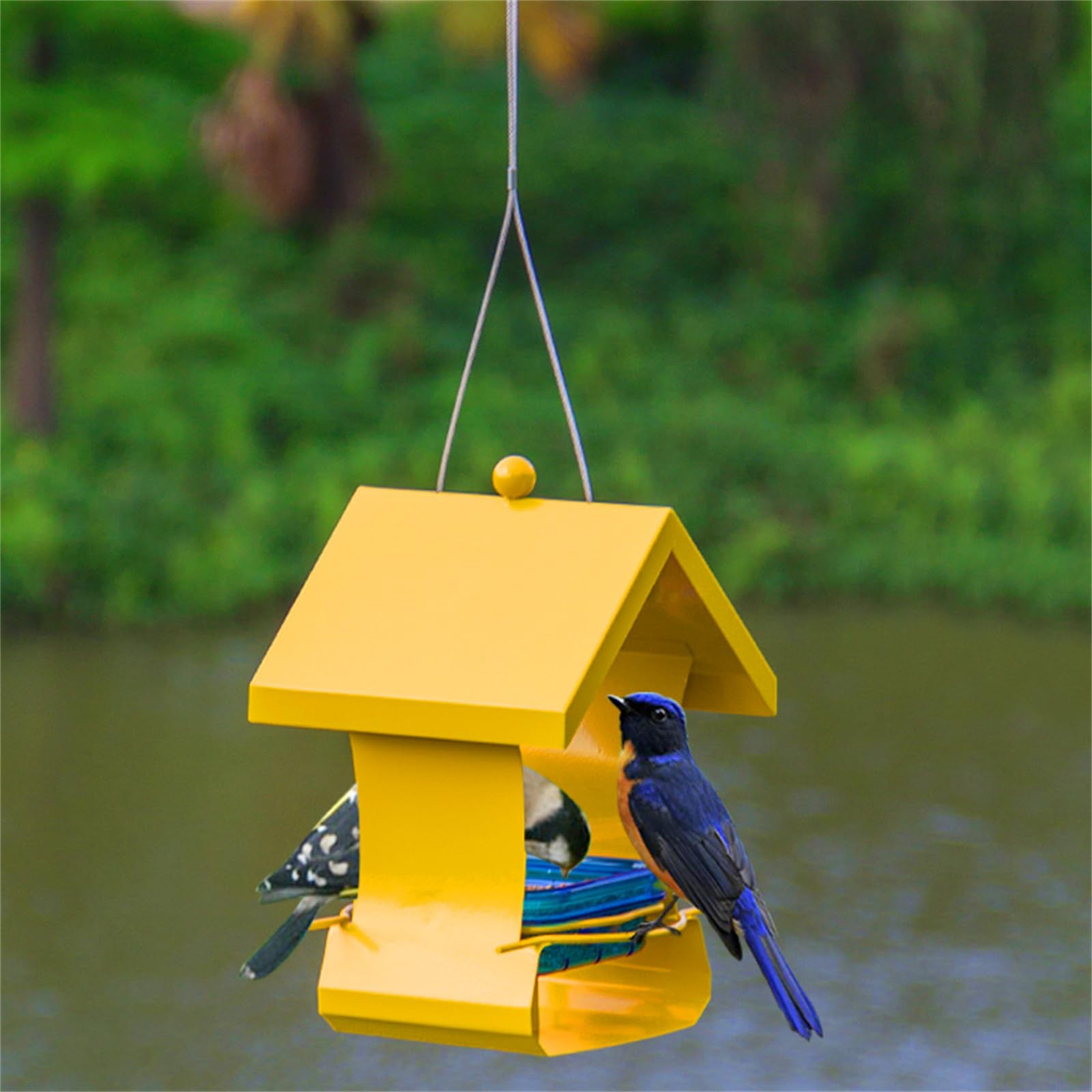 Esterno Mangiatoia per uccelli da esterno Appeso Mangiatoia da campo a prova di pioggia Balcone Villa Scatola per alimenti per uccelli Bird Feeder