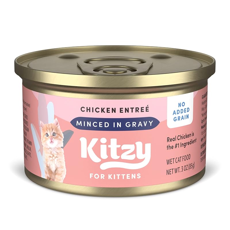 Ração úmida para gatos filhotes Kitzy, frango em molho, sem grãos, pacote com 24 latas de 85 g