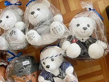 Amazon.co.jp: CNBLUE 公式 ライブ グッズ ぬいぐるみ くま 熊 韓国