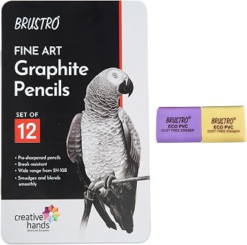 BRUSTRO Artists Fineart Graphite Pencil Set of 12 10B-2H ECO PVC dust Free Eraser Pack of 2