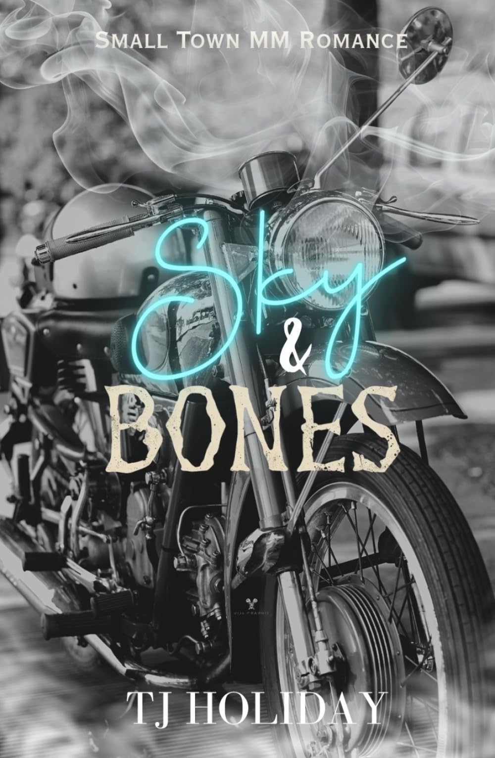 Sky & Bones: MM Southern Romance