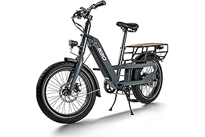 KBO Ranger Electric Bike: The Ultimate Cargo E-Bike for Heavy Haulage