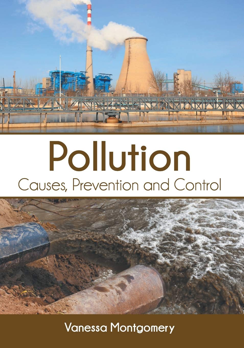 Pollution: Causes, Prevention and Control