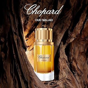 Chopard Oud Malaki 香水 80ml ショパール ウード マラキ Amazon.com: Chopard Oud Malaki Eau de Parfum 80ML : Belleza