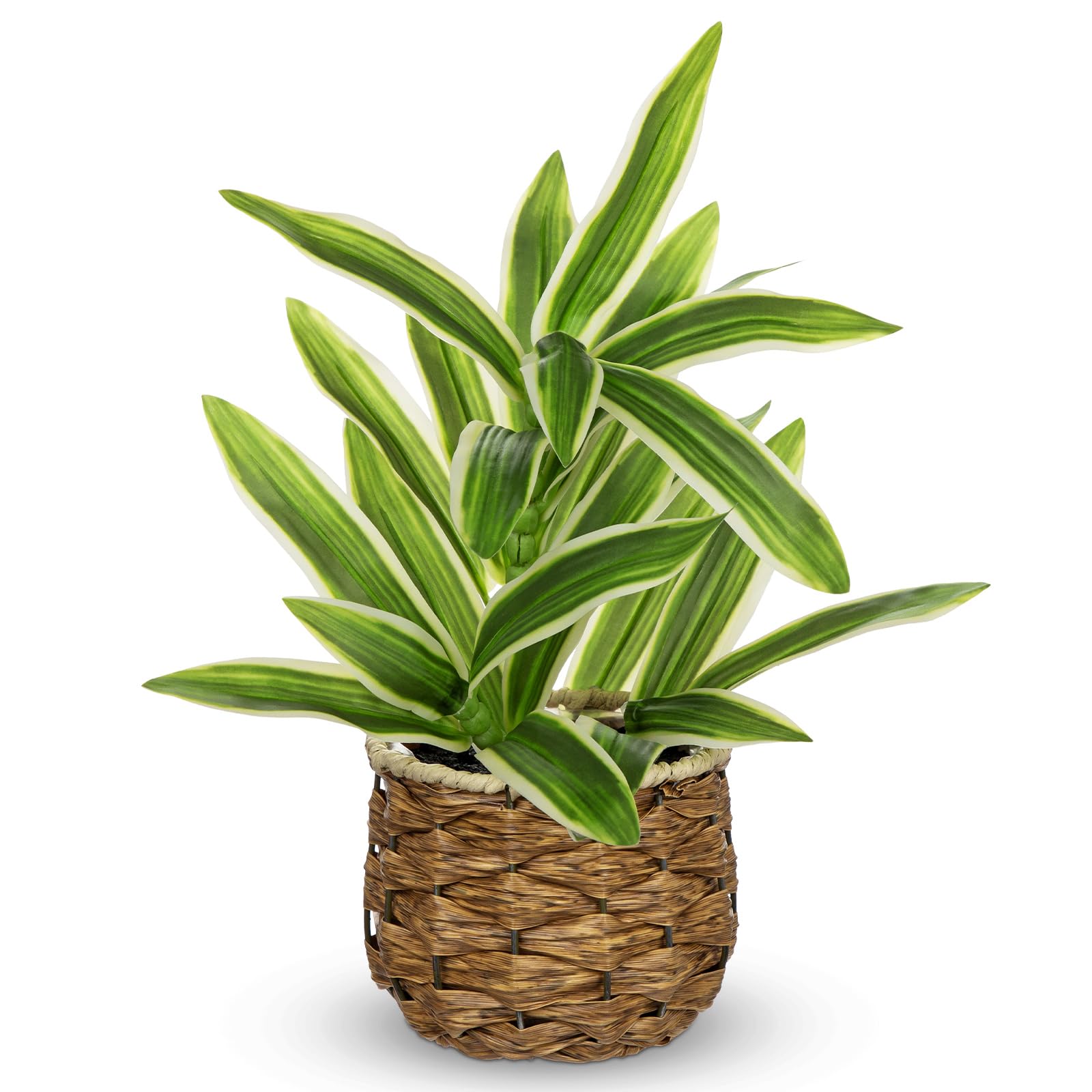 Oairse Artificial Dracaena Plant Indoor, 32cm Faux Plants in Decorative Plastic Woven Pot, Realistic Fake Potted House Plant for Home Office Shelf Bathroom Kitchen Table Decor