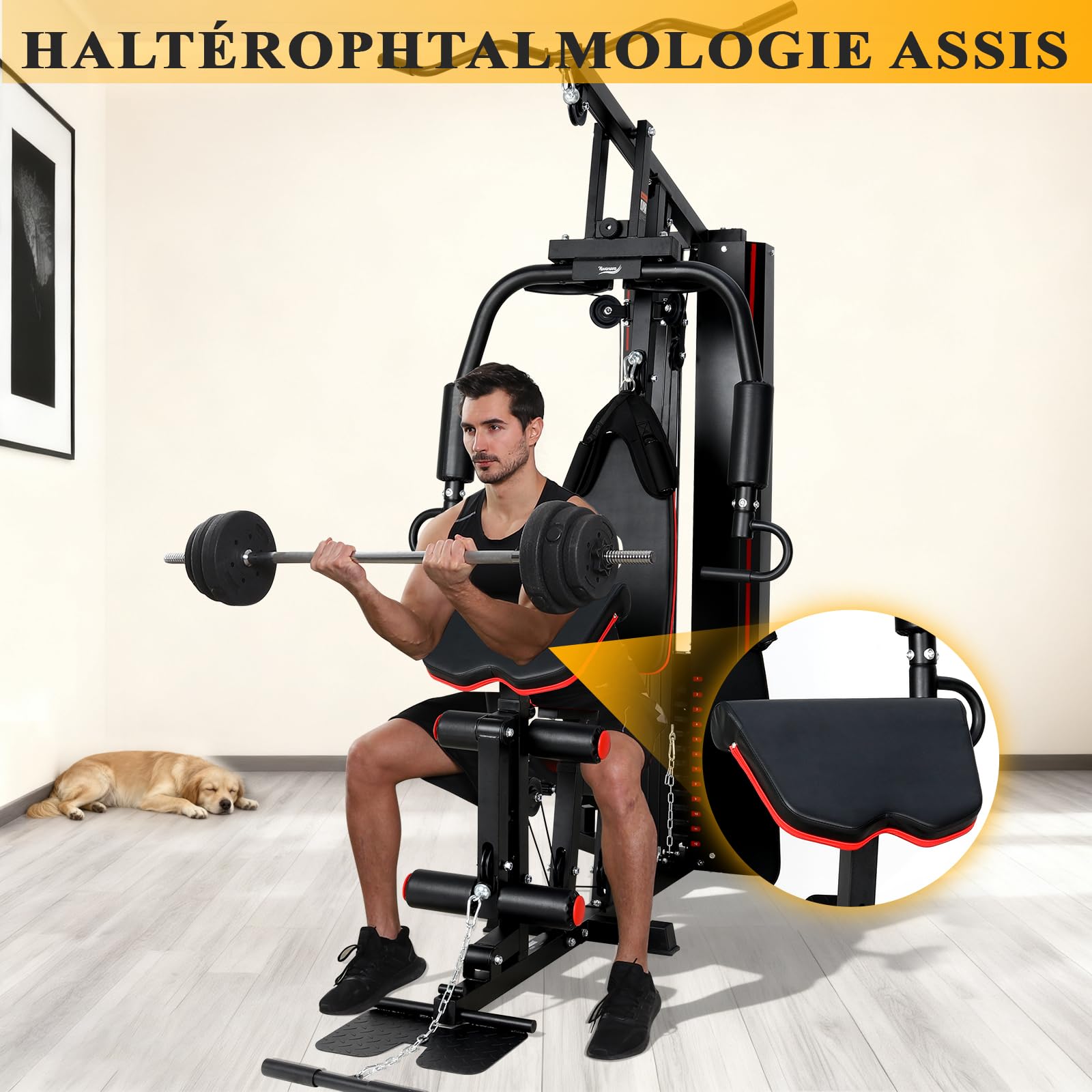 Station de Musculation Multifonction, Banc de Musculation Complet, Barre de Traction Cage Station Machine Musculation avec Poids, Fitness Domicile Home Gym Bras/Épaules/Poitrine/Dos/Jambe