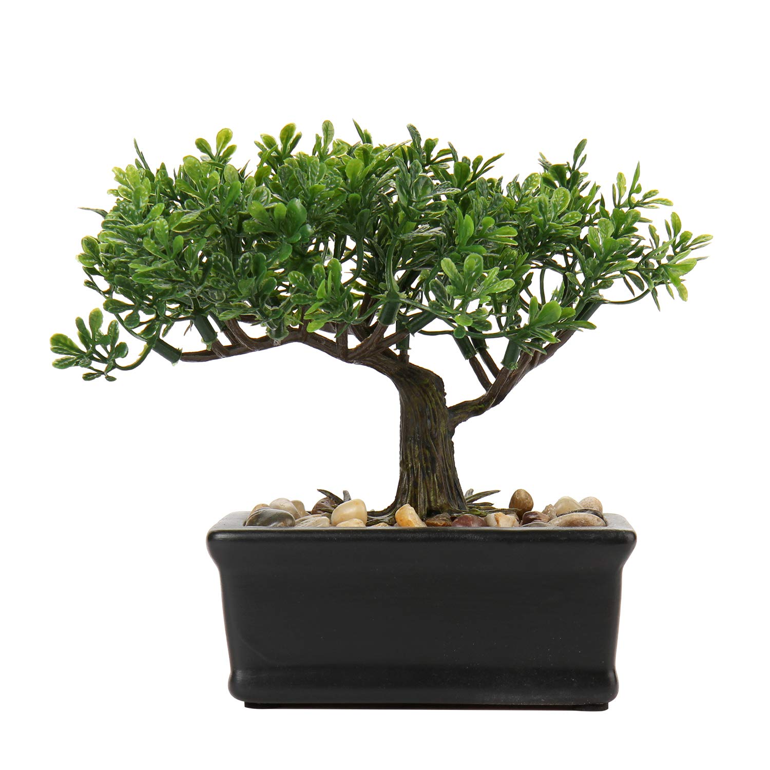 Hollyone Artificial Bonsai Tree - Indoor Plant, Japanese Podocarpus Decoration for Home and Desk