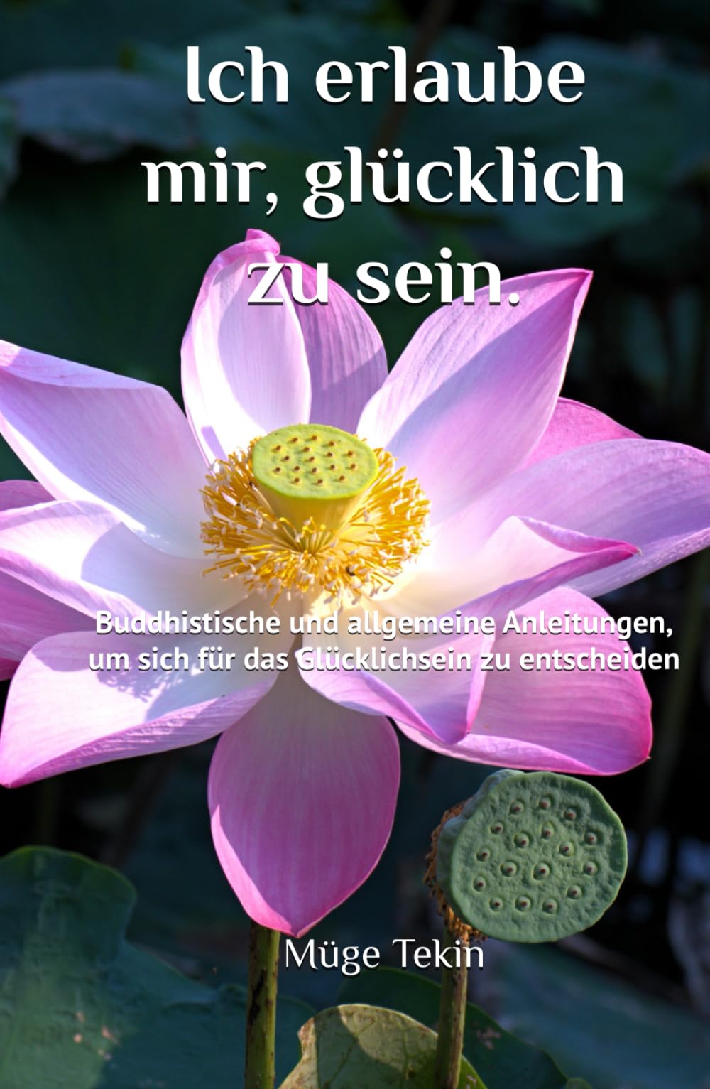 Ich erlaube mir, glücklich zu sein.: Buddhistische und allgemeine Anleitungen, um sich für das Glücklichsein zu entscheiden