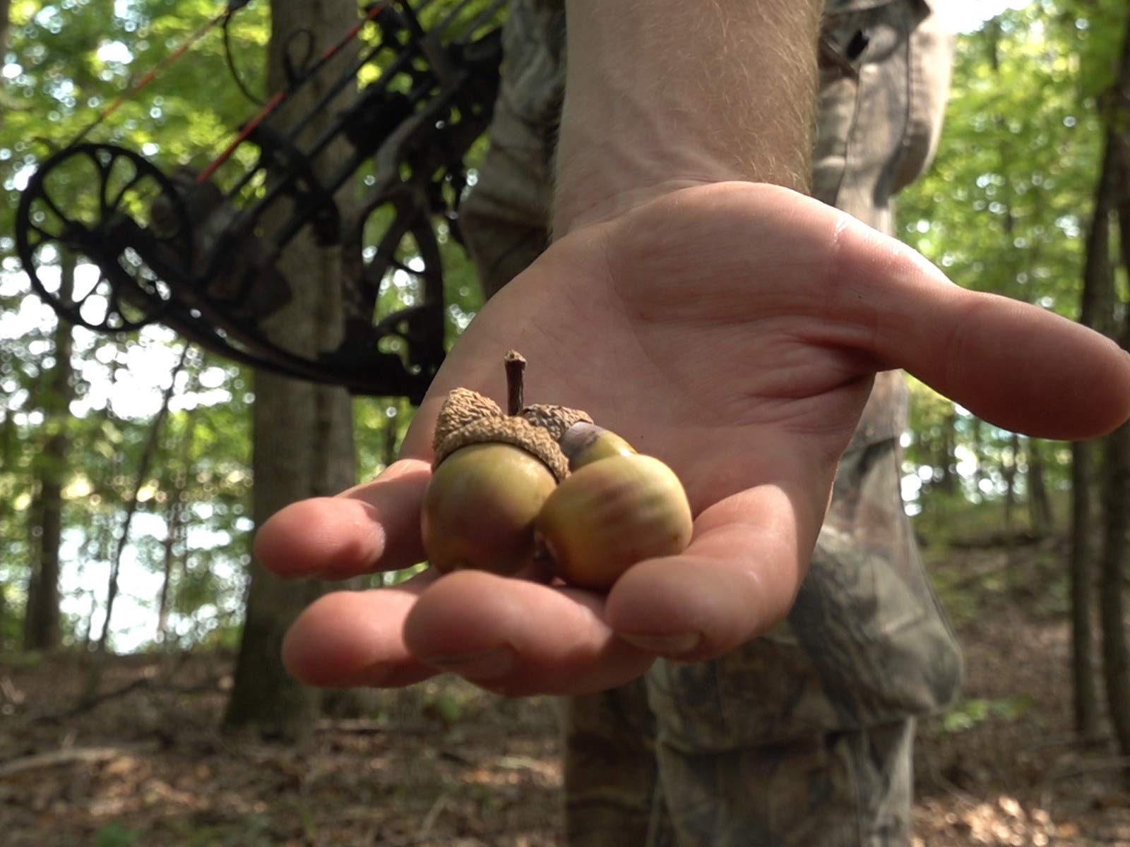 Watch The Hunting Public Prime Video