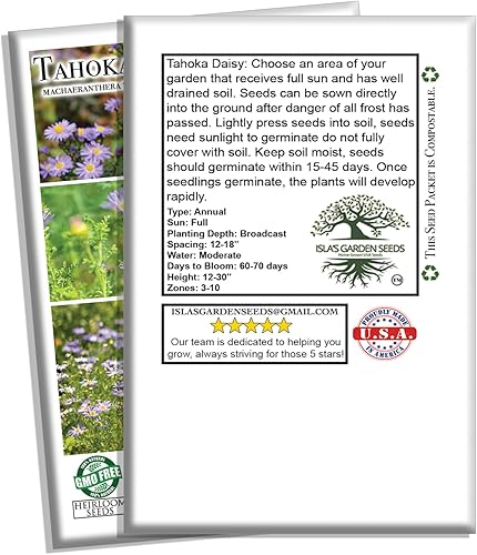 Miniatura 7 de Semillas de flores de margaritas Tahoka para plantar, más de 1000 semillas de flores por paquete, semillas de jardín de Isla, semillas sin OMG y