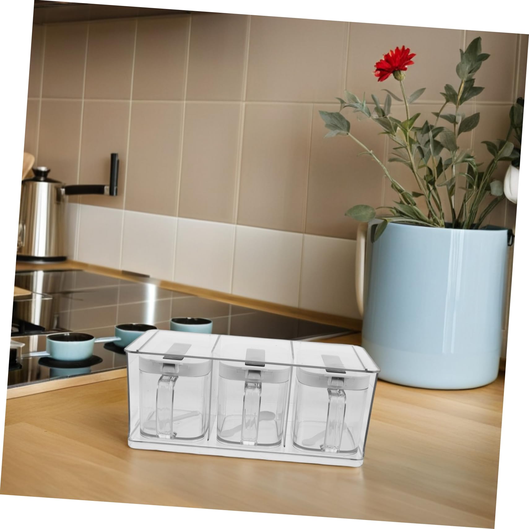 TOPBATHY Boîte à Épices Élégant Transparente avec Couvercle Hermétique en Pet Set Mural pour Rangement de Condiments Cuisine