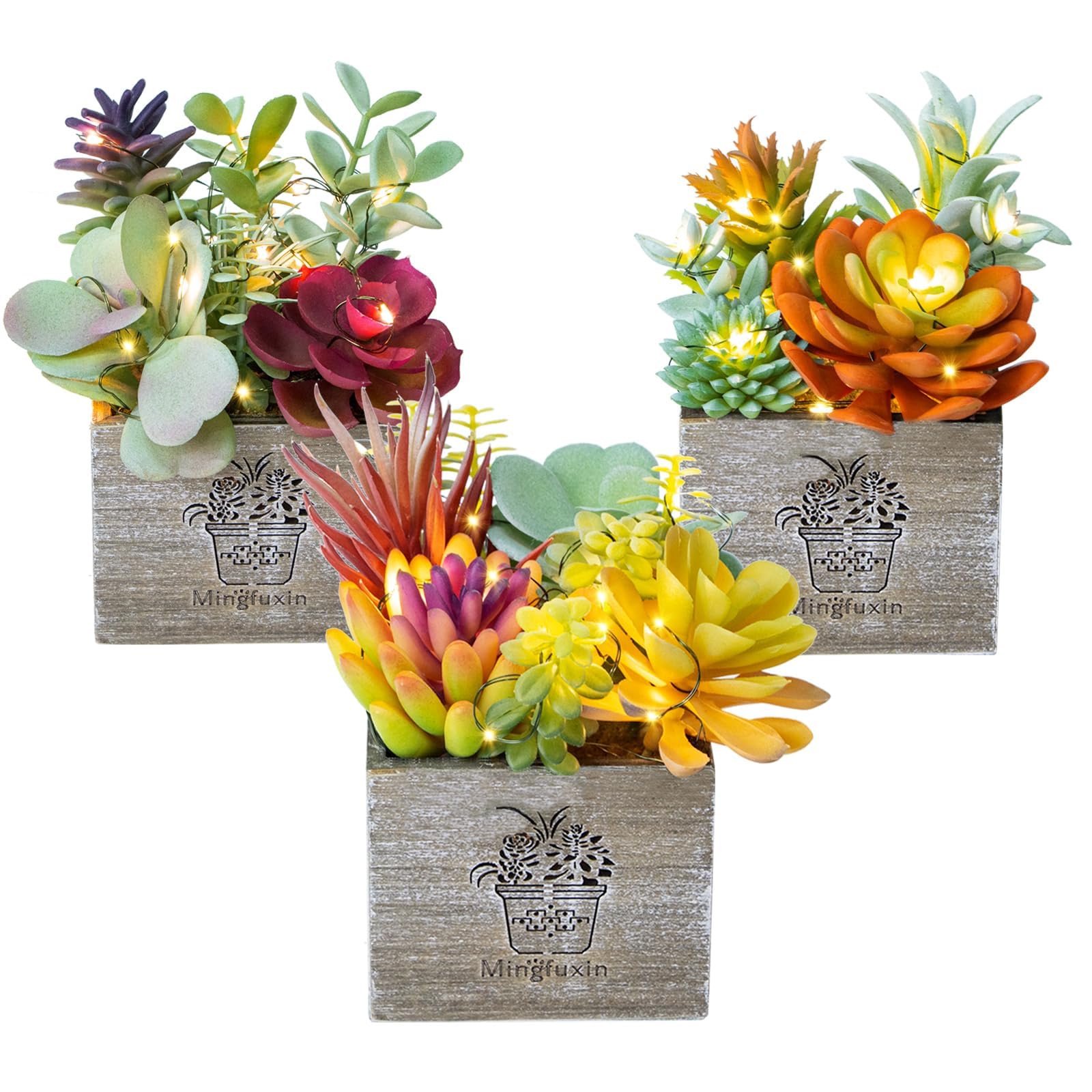 Plantas suculentas Artificiales, pequeñas Plantas Artificiales con Luces, Surtidas Decorativas suculentas Falsas en Maceta para Oficina, Escritorio, baño, Dormitorio, estantes, Ventanas