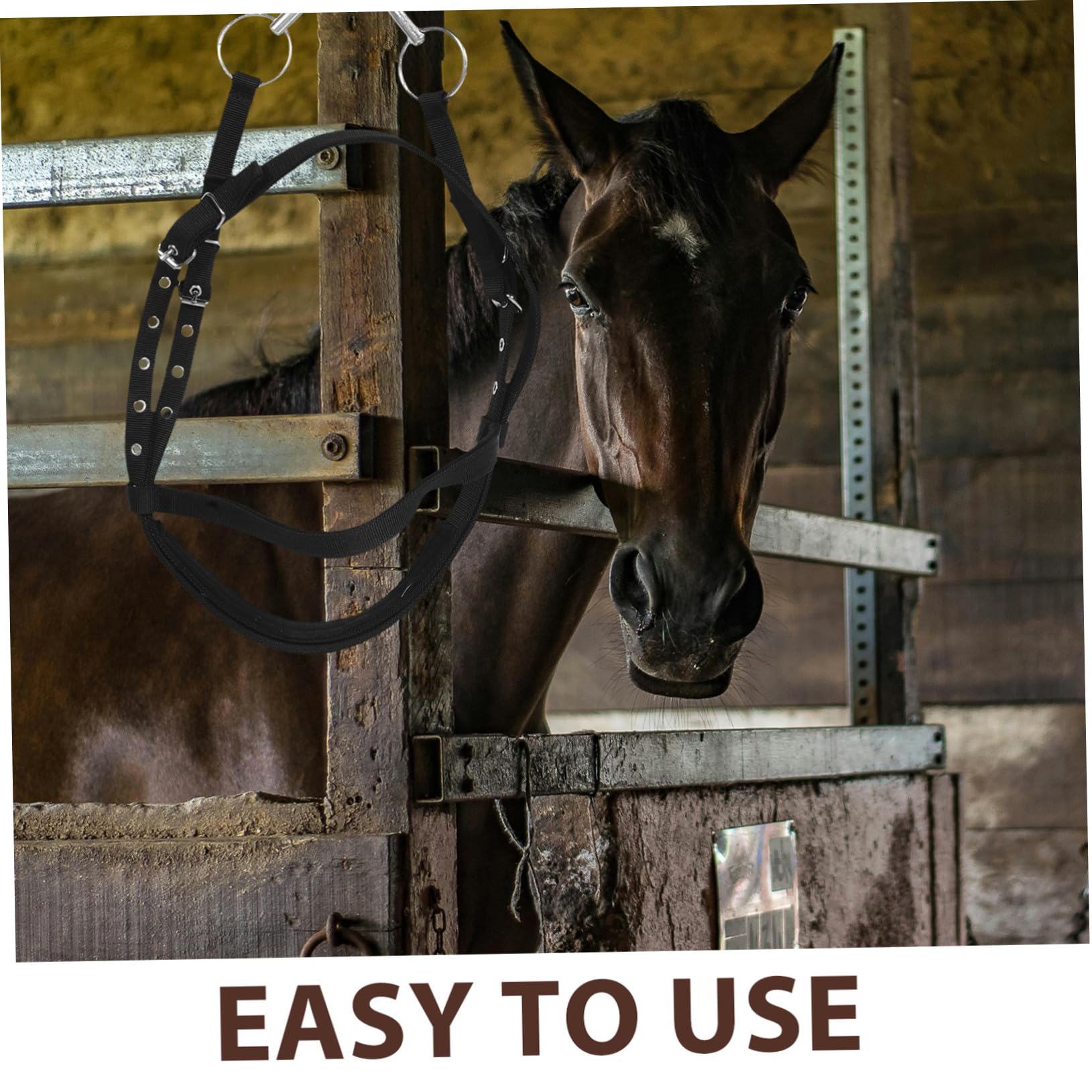 Cavezza Design Ergonomico e Controllo Eccellente in Nailon Nero per Cavalli Piccoli e Giovani per attività Equestri e Cavalcata