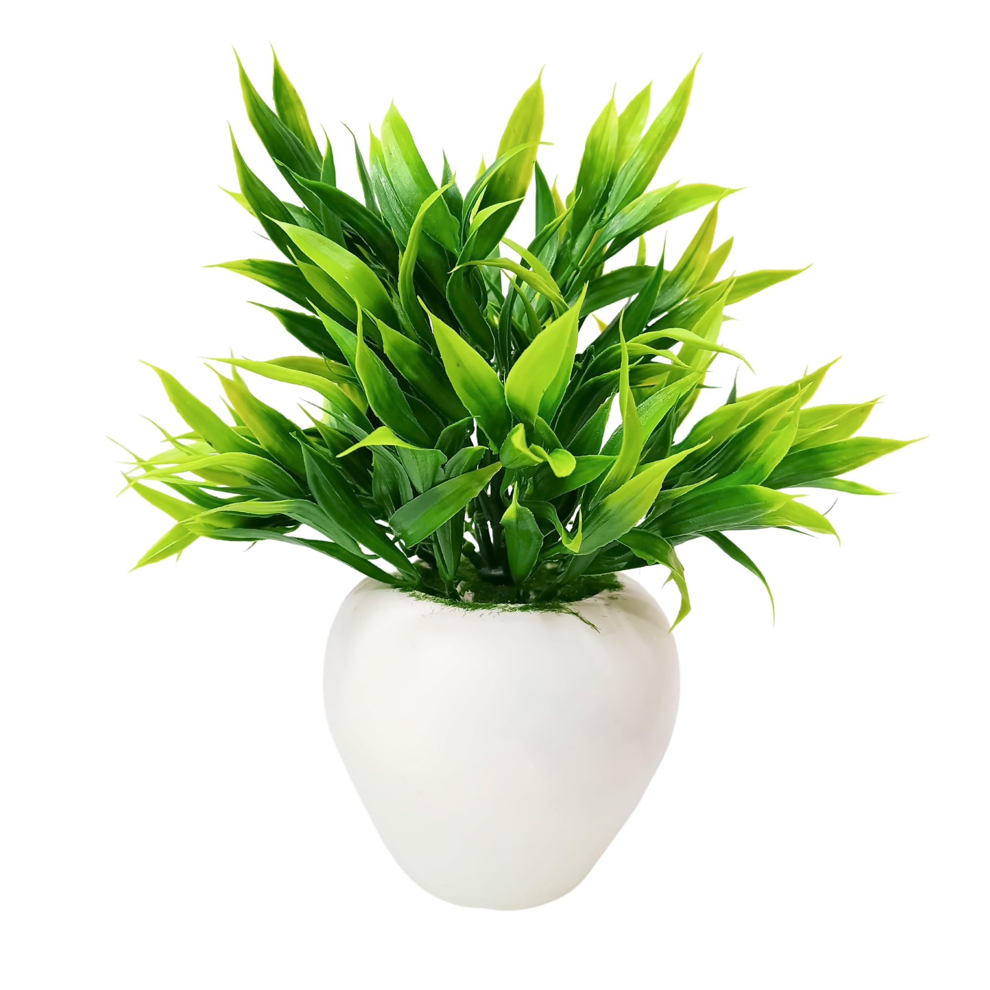 DecoreBugs Plastic Artificial Bamboo Leaves With Pot (Small)(Pack Of 1.), Artificial Plant, Green (B08W1VJ7C4) Amazon Price History, Amazon Price Tracker