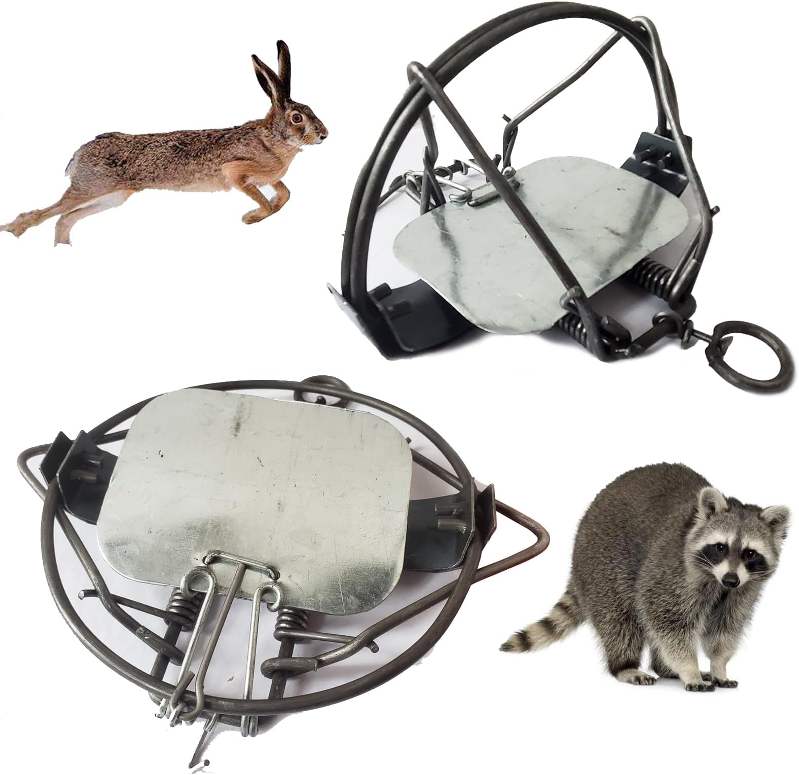 Amazon.com : Live Small Animal Trap Raccon Rabbit Traps for Outdoor ...