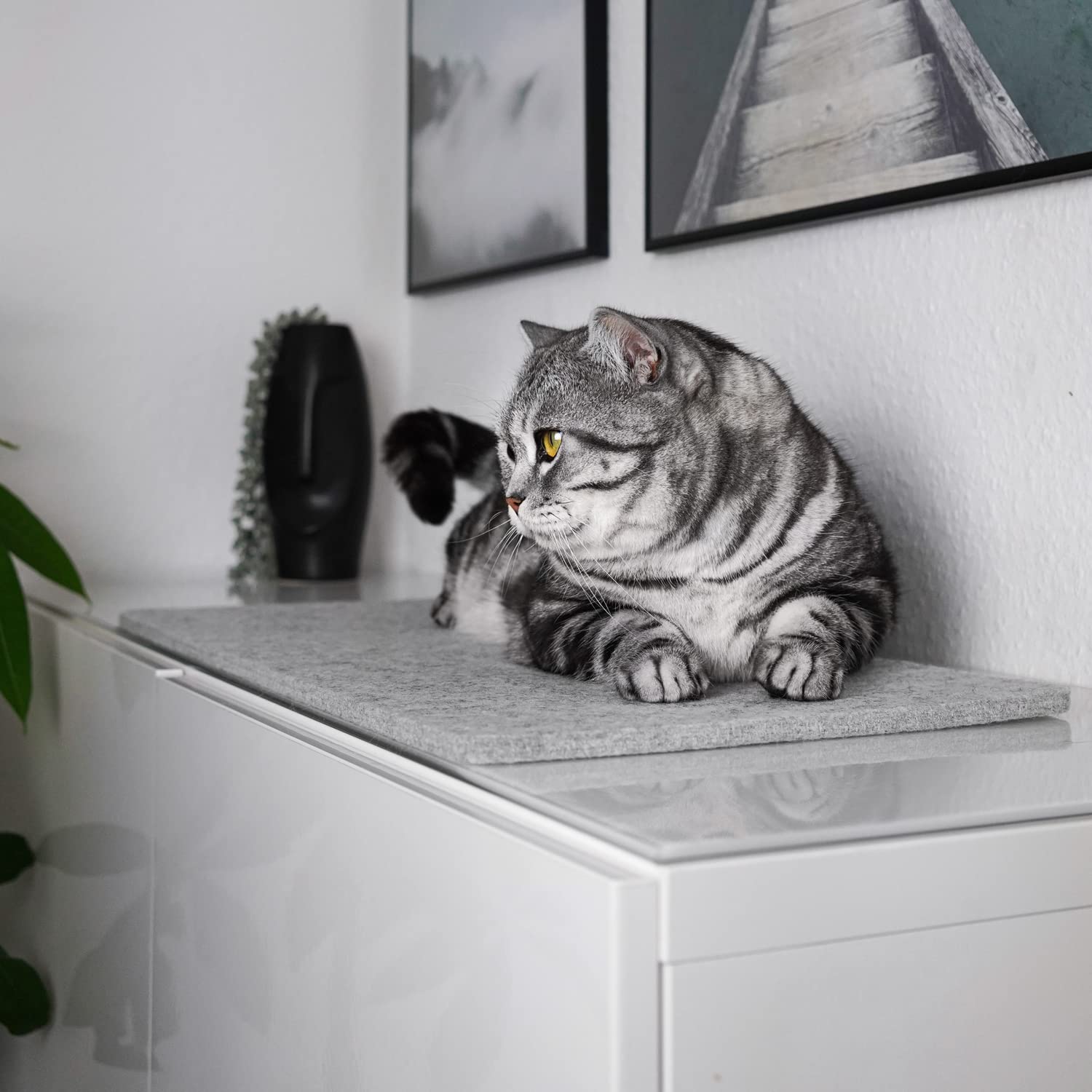 LucyBalu® Fensterbrettauflage für Katzen aus Wollfilz | Liegematte Fensterbank Katze | Katzenkissen | Fensterliegeplatz Katzen | Katzenbett Fensterbank | Fensterliege als Katzenfensterbett | Anthrazit