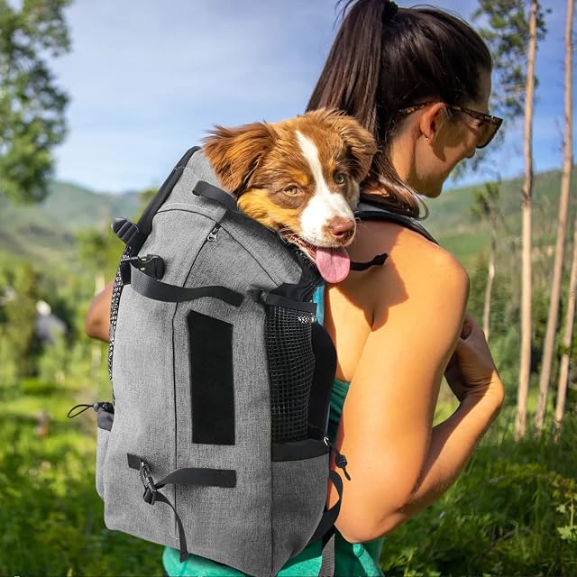Foto 2 de 7 de PETCUTE Mochila para Perros Bolsa Transportin Gato Perro Medianos Transpirable Bolsa Portaperro…