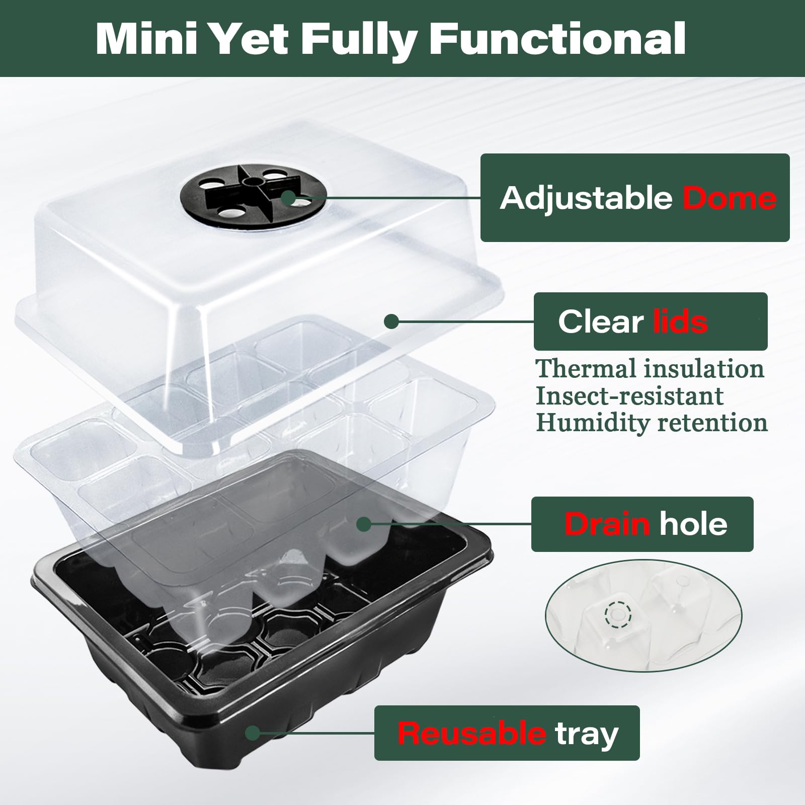 Amazon.com : ZeeDix 6 Set Seed Starter Tray Kits, 6 Pack Seed